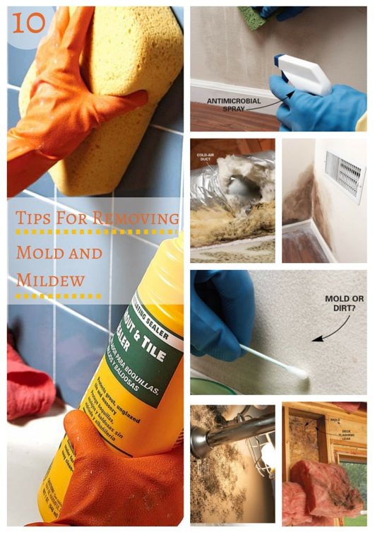 10 Tips For Removing Mold and Mildew The Family Handyman