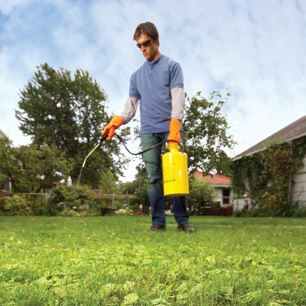 How to Eliminate Weeds From Your Grass