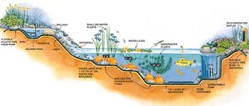 Figure A: Cross section of pond and waterfall