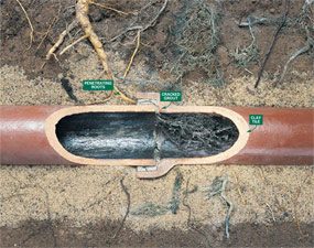 Close-up of sewer line