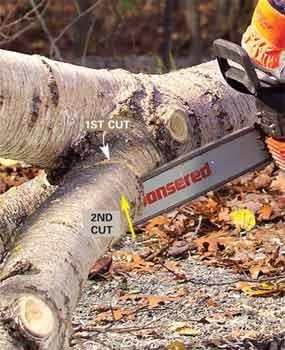 Chain Saw Safety