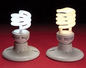 CFL Bulbs: Here’s What You Need to Know