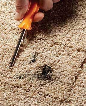เคล็ดลับการบำรุงรักษาพรม: 3 Quick Carpet Fixes
