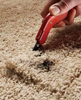 地毯保养技巧: 3 Quick Carpet Fixes