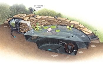 Illustration: pond and waterfall details