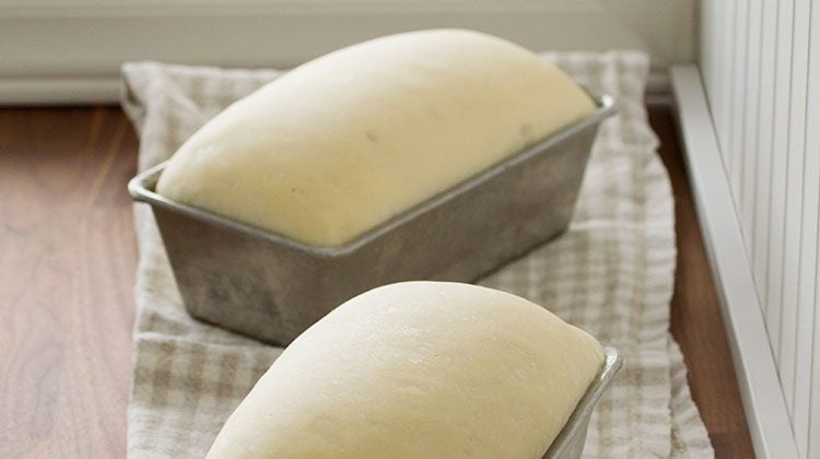 bread dough sitting in two metal bread pans to rise