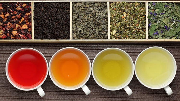 Small squares of different tea leaves lined up on top of white cups of red, orange and yellow liquid