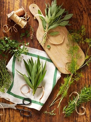  How to Dry Herbs