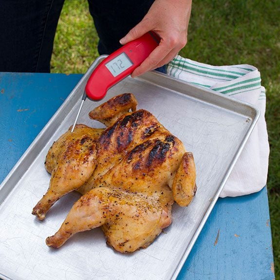 A cooked spatchcocked chicken on a baking sheet having its temperature checked by a red thermometer that reads '172'